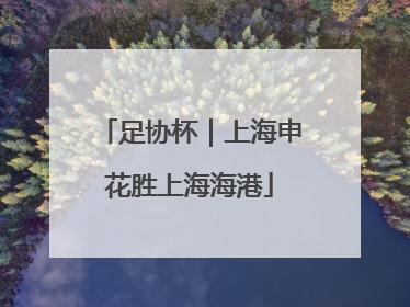 足协杯｜上海申花胜上海海港